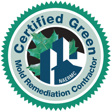 Certified Green Mold Remediation Contractor